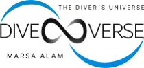 Diverse Logo
