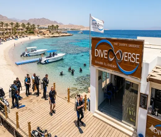 Dive Verse Sharm El Sheikh
