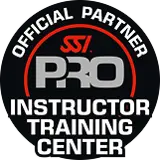 SSI Pro