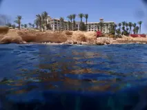 wreck