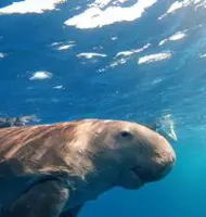 dive center